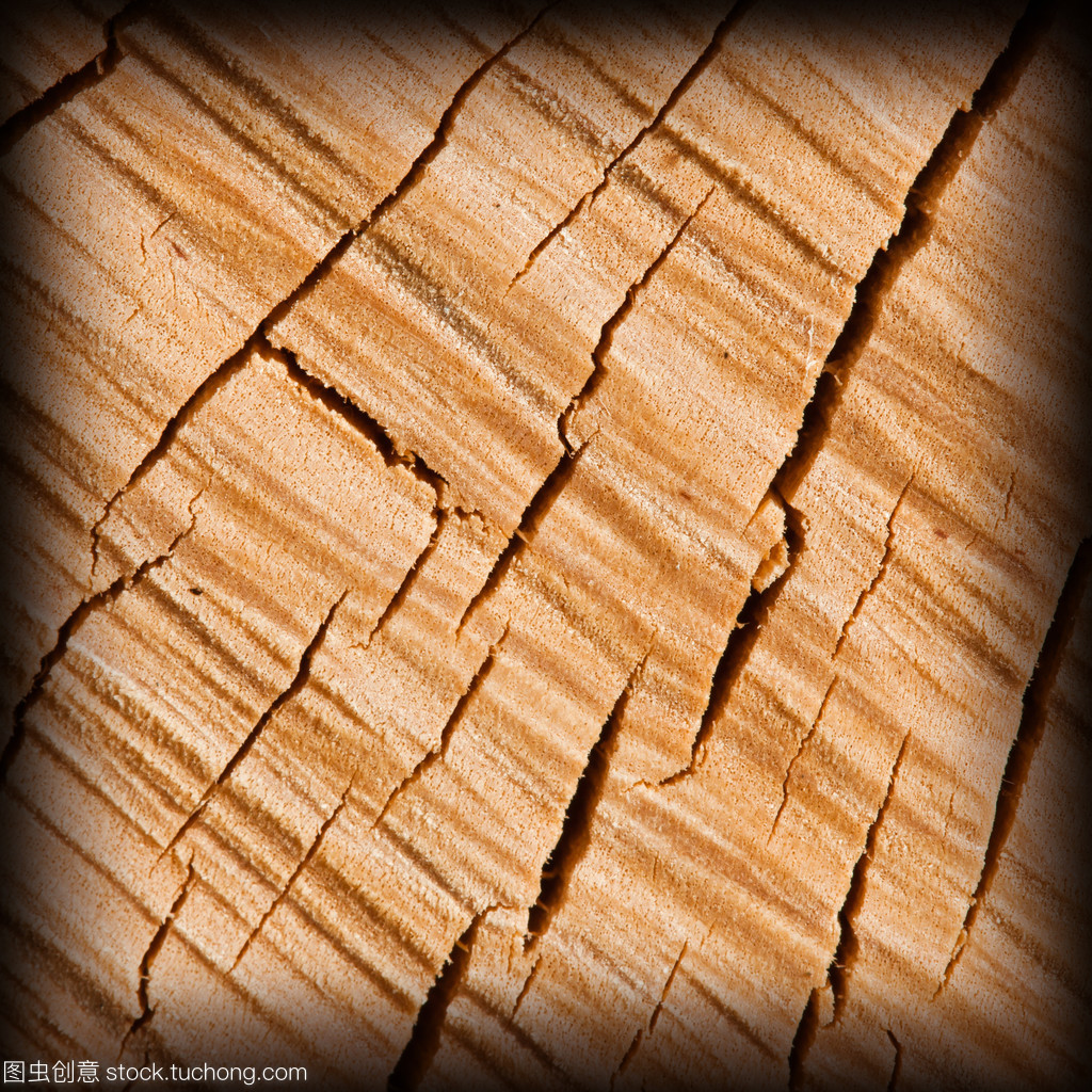 黄干木材纹理之美 自然雕琢的艺术画卷