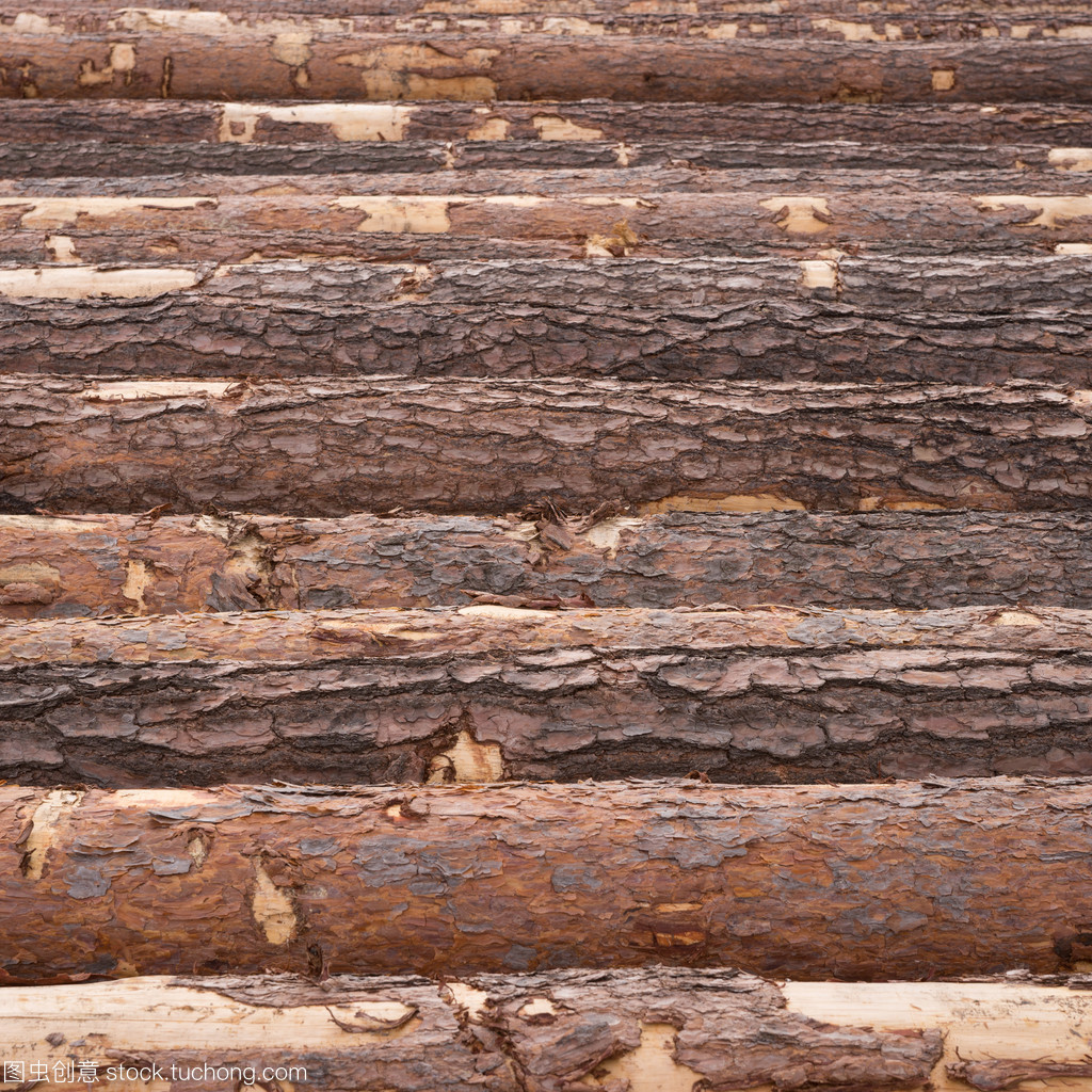 木木材 从自然馈赠到人类文明的坚实基石