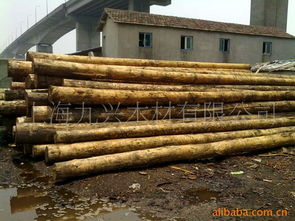 上海九兴木材 匠心品质，筑就绿色家居新典范